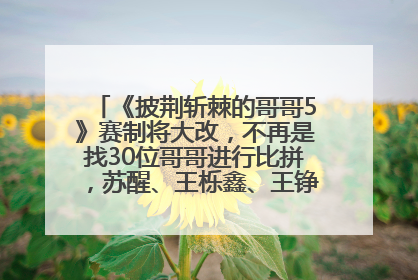 《披荆斩棘的哥哥5》赛制将大改，不再是找30位哥哥进行比拼，苏醒、王栎鑫、王铮亮、张远等多名男团选手被曝将参加