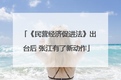 《民营经济促进法》出台后 张江有了新动作