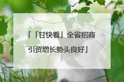 「甘快看」全省招商引资增长势头良好