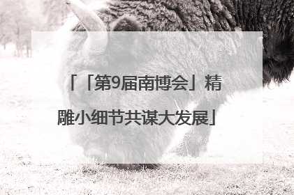 「第9届南博会」精雕小细节共谋大发展