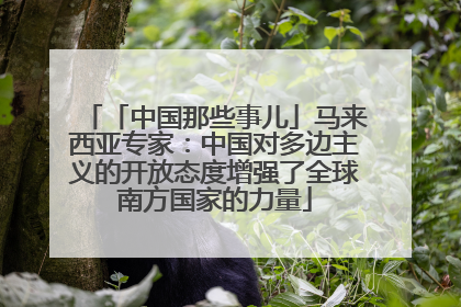 「中国那些事儿」马来西亚专家：中国对多边主义的开放态度增强了全球南方国家的力量
