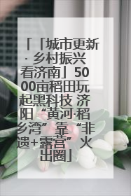 「城市更新· 乡村振兴看济南」5000亩稻田玩起黑科技 济阳“黄河·稻乡湾”靠“非遗+露营”火出圈
