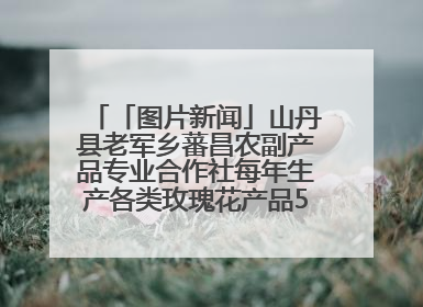 「图片新闻」山丹县老军乡蕃昌农副产品专业合作社每年生产各类玫瑰花产品500多吨
