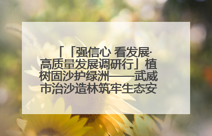 「强信心 看发展·高质量发展调研行」植树固沙护绿洲——武威市治沙造林筑牢生态安全屏障见闻