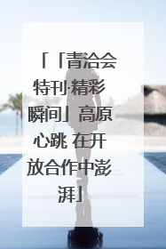 「青洽会特刊·精彩瞬间」高原心跳 在开放合作中澎湃