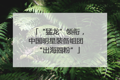 “猛龙”领衔，中国明星装备组团“出海圈粉”