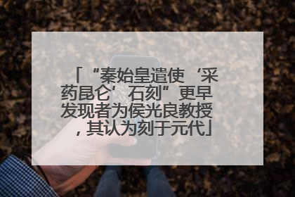 “秦始皇遣使‘采药昆仑’石刻”更早发现者为侯光良教授，其认为刻于元代