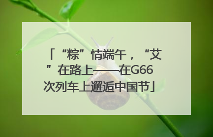 “粽”情端午，“艾”在路上——在G66次列车上邂逅中国节