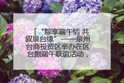 “粽享端午情 共叙泉台缘”——泉州台商投资区举办在区台胞端午联谊活动，共话同源深情