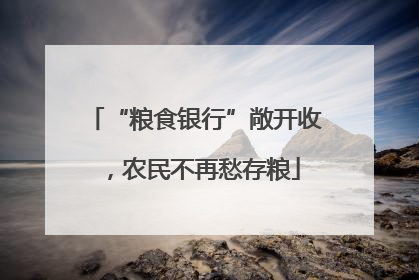 “粮食银行”敞开收，农民不再愁存粮