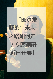 “丽水荒野茶”未来之路如何走？专题调研近日开展