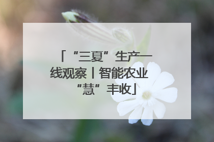 “三夏”生产一线观察丨智能农业“慧”丰收
