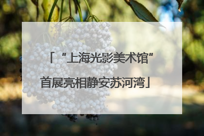 “上海光影美术馆”首展亮相静安苏河湾