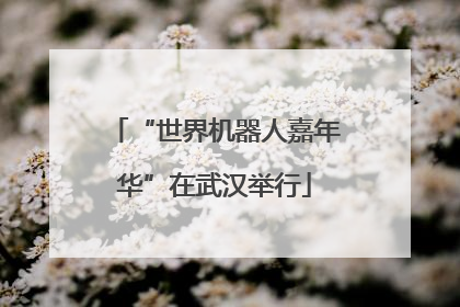 “世界机器人嘉年华”在武汉举行