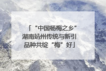 “中国杨梅之乡”湖南靖州传统与新引品种共绽“梅”好