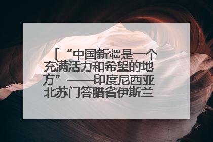 “中国新疆是一个充满活力和希望的地方”——印度尼西亚北苏门答腊省伊斯兰教代表团参访新疆