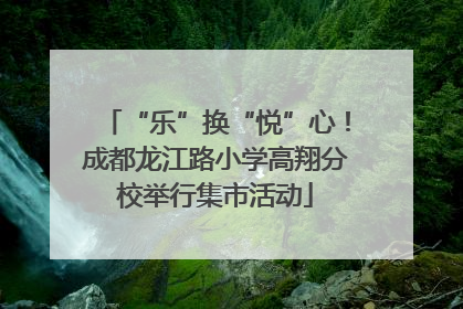 “乐”换“悦”心！成都龙江路小学高翔分校举行集市活动