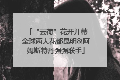 “云荷”花开并蒂 全球两大花都昆明&阿姆斯特丹强强联手