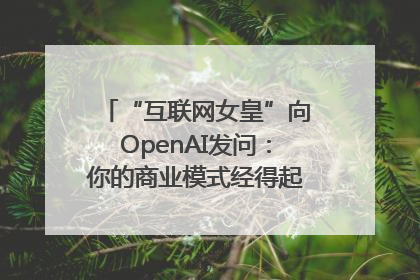 “互联网女皇”向OpenAI发问：你的商业模式经得起价格战考验么？