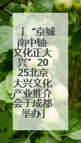“京城南中轴·文化正大兴”2025北京大兴文化产业推介会于成都举办