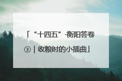 “十四五”·衡阳答卷③｜收粮时的小插曲