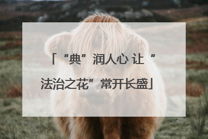 “典”润人心 让“法治之花”常开长盛