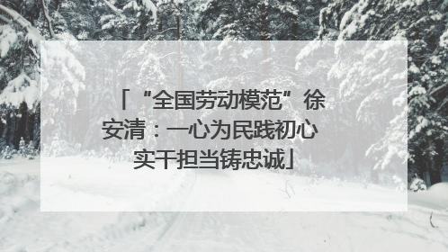 “全国劳动模范”徐安清：一心为民践初心 实干担当铸忠诚
