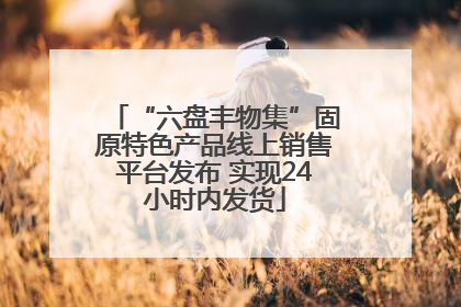 “六盘丰物集”固原特色产品线上销售平台发布 实现24小时内发货