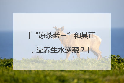 “凉茶老三”和其正，靠养生水逆袭？