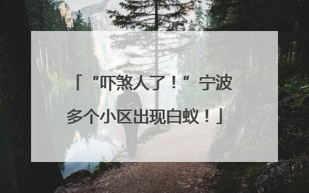“吓煞人了！”宁波多个小区出现白蚁！