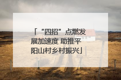 “四招”点燃发展加速度 助推平阳山村乡村振兴