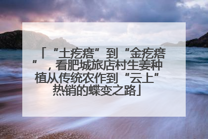 “土疙瘩”到“金疙瘩”，看肥城旅店村生姜种植从传统农作到“云上”热销的蝶变之路