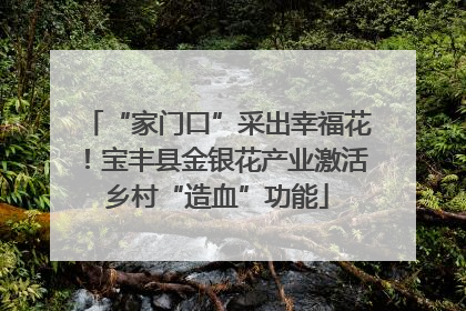 “家门口”采出幸福花！宝丰县金银花产业激活乡村“造血”功能