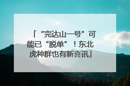 “完达山一号”可能已“脱单”！东北虎种群也有新喜讯