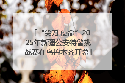 “尖刀·使命”2025年新疆公安特警挑战赛在乌鲁木齐开幕