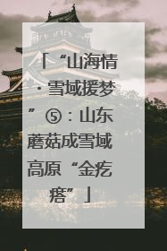 “山海情・雪域援梦”⑤：山东蘑菇成雪域高原“金疙瘩”