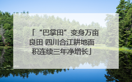 “巴掌田”变身万亩良田 四川合江耕地面积连续三年净增长