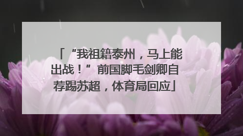 “我祖籍泰州，马上能出战！”前国脚毛剑卿自荐踢苏超，体育局回应