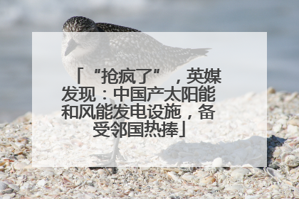 “抢疯了”，英媒发现：中国产太阳能和风能发电设施，备受邻国热捧