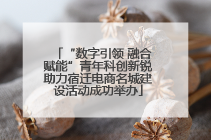 “数字引领 融合赋能”青年科创新锐助力宿迁电商名城建设活动成功举办