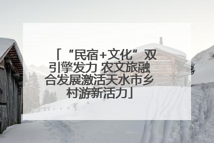 “民宿+文化”双引擎发力 农文旅融合发展激活天水市乡村游新活力