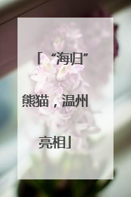 “海归”熊猫，温州亮相
