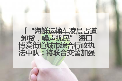 “海鲜运输车凌晨占道卸货，噪声扰民” 海口博爱街道城市综合行政执法中队：将联合交警加强长堤路一带巡逻