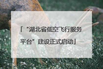 “湖北省低空飞行服务平台”建设正式启动