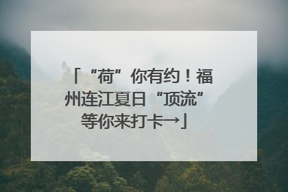 “荷”你有约！福州连江夏日“顶流”等你来打卡→