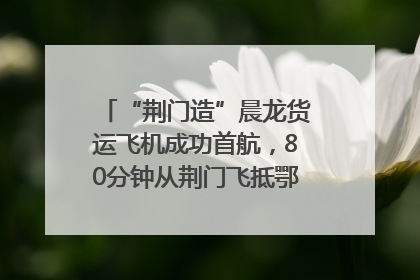 “荆门造”晨龙货运飞机成功首航，80分钟从荆门飞抵鄂州花湖机场