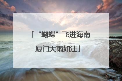 “蝴蝶”飞进海南 厦门大雨如注