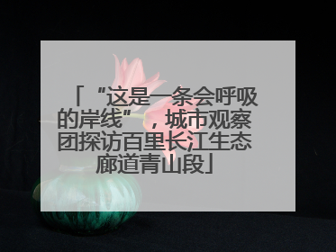 “这是一条会呼吸的岸线”，城市观察团探访百里长江生态廊道青山段