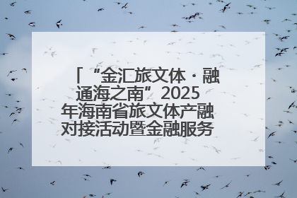 “金汇旅文体・融通海之南”2025年海南省旅文体产融对接活动暨金融服务中心成立仪式举行