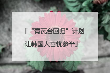 “青瓦台回归”计划让韩国人喜忧参半